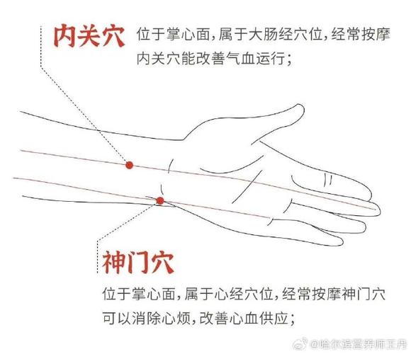 内关 神门 液门穴位