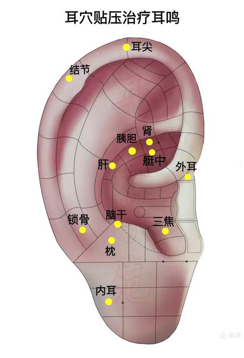 如何改善听力 穴位