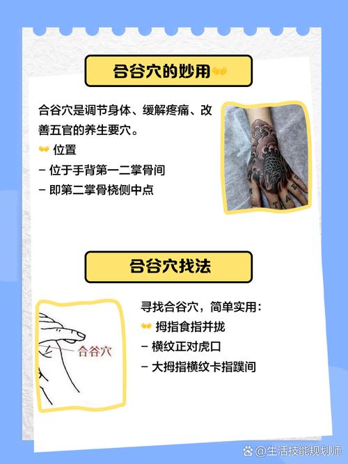 合谷 曲池 外关穴位