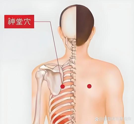 印堂 神庭 鱼腰穴位
