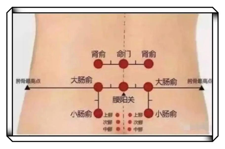 腰疼按摩穴位 图解