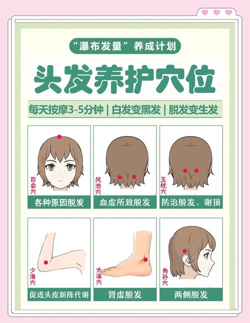 按摩穴位 治疗脱发