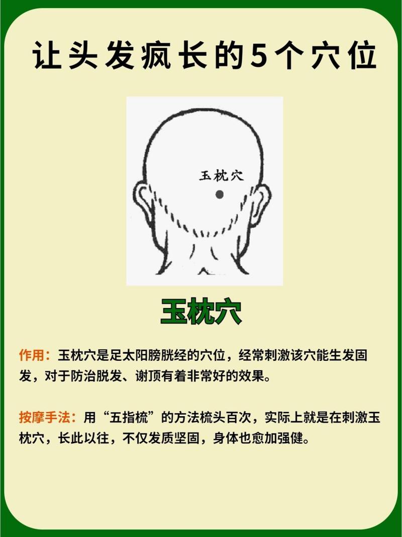 按摩穴位 治疗脱发