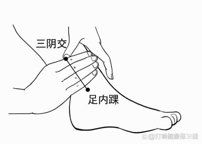 胫骨前缘 内侧 穴位