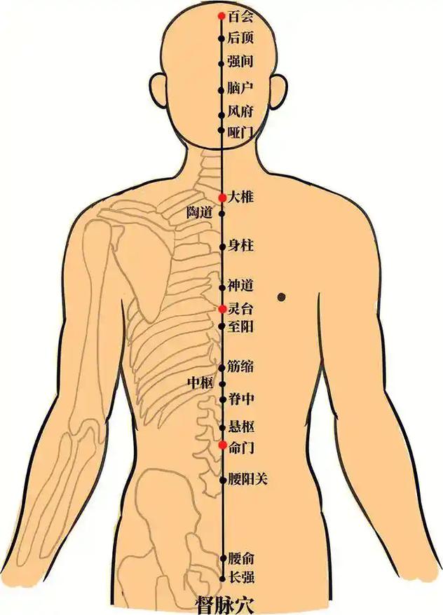 着凉 后背发冷 穴位