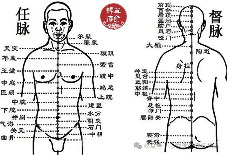 任脉 主要穴位 功用