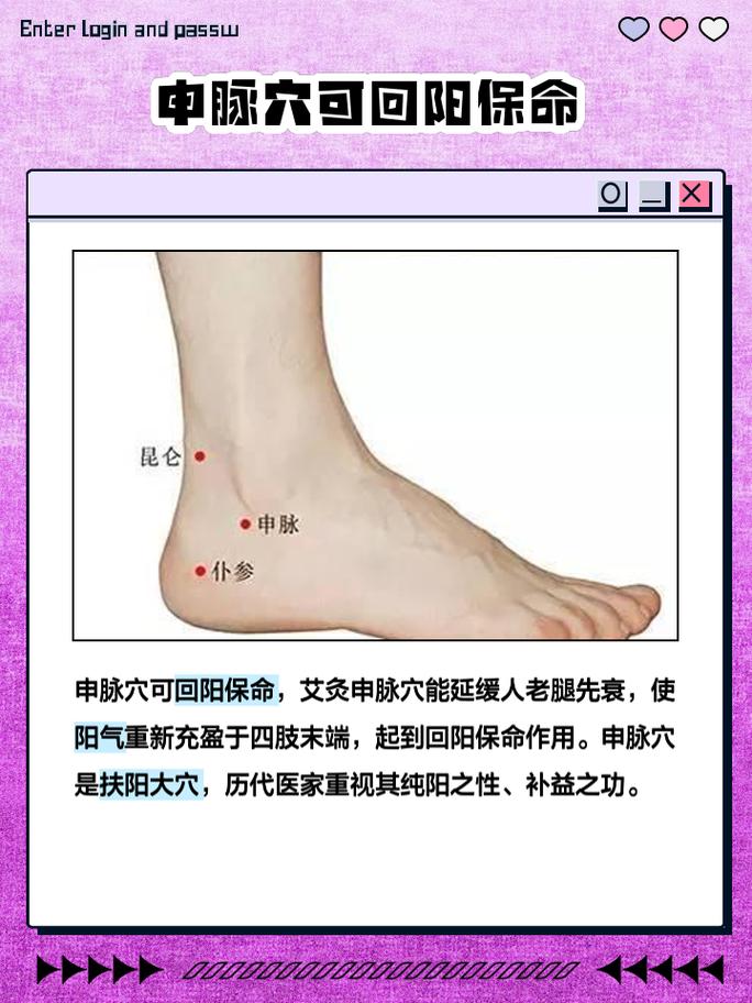 人体穴位 仆参 申脉