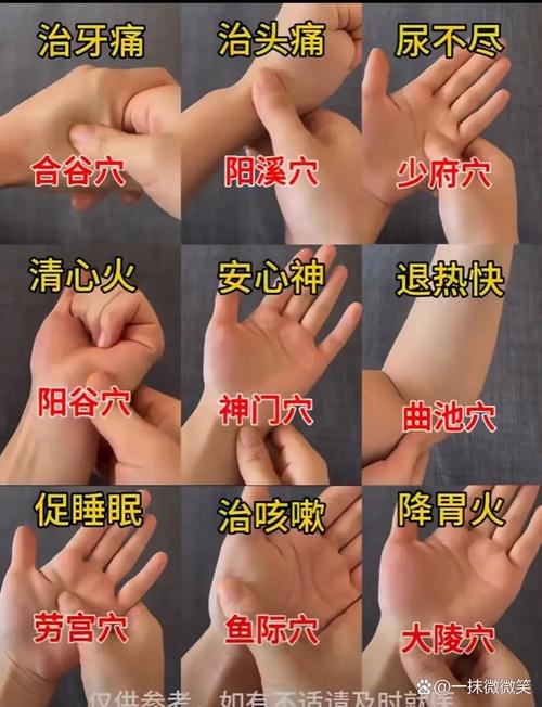 中医 腰疼 手 穴位