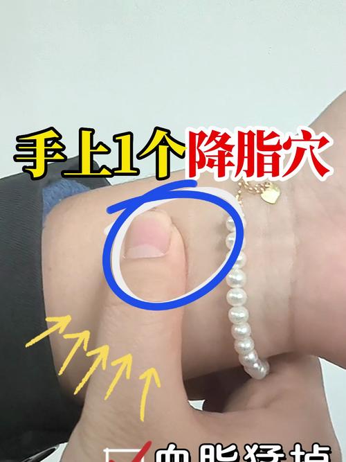 高脂血症按摩什么穴位