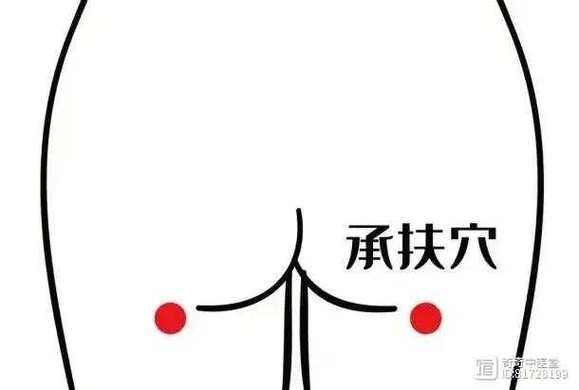 baidu承扶穴位图