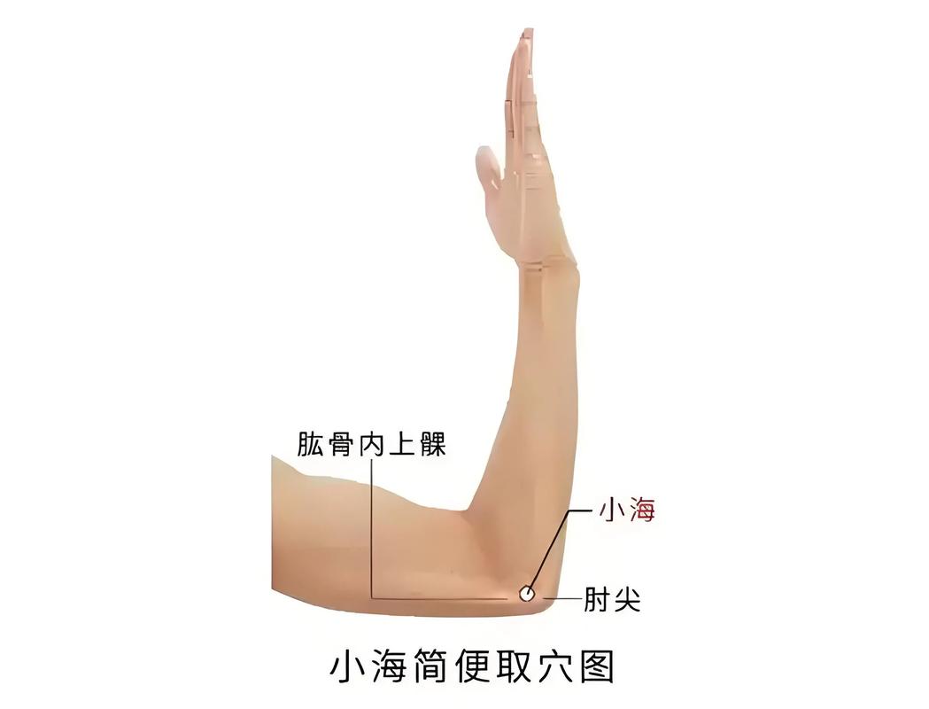 小海 尺泽 天井穴位
