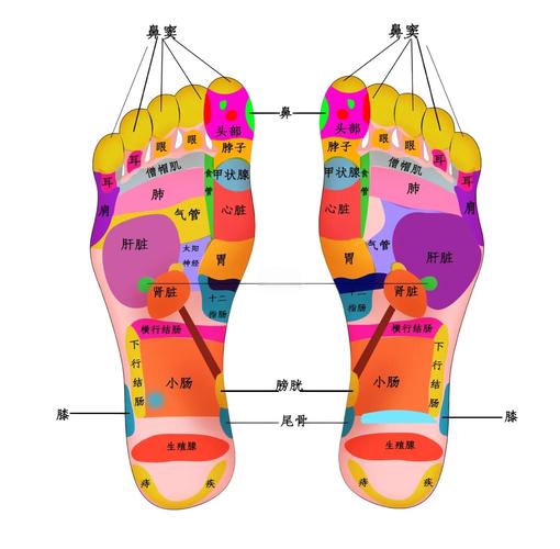 脚底 穴位 心脏 疼