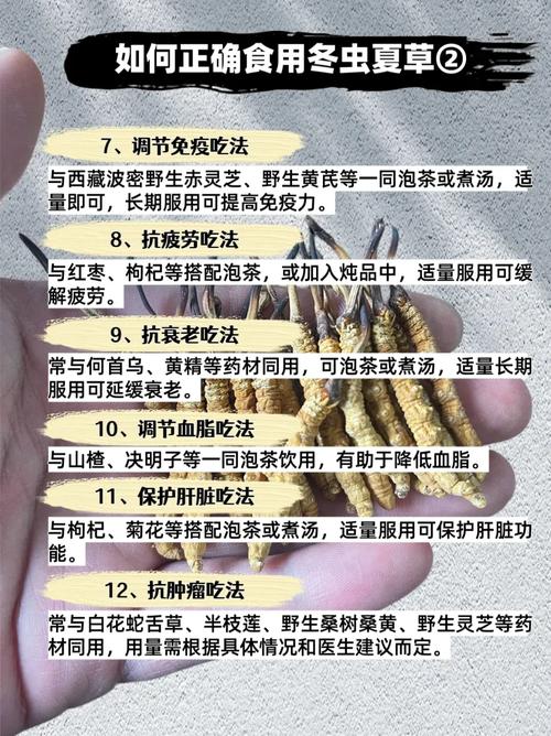 冬虫夏草对脑梗的作用