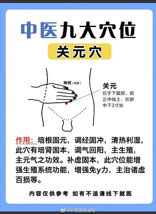 关元 气海 中极穴位