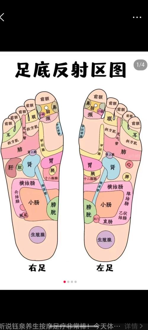 足底 穴位 如何找