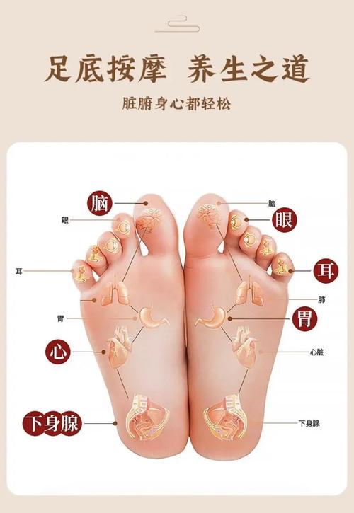 足底 穴位 如何找