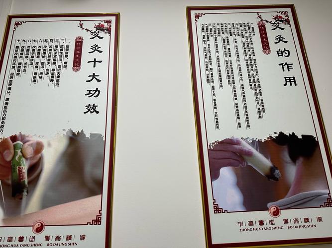 李志刚穴位养生 下载