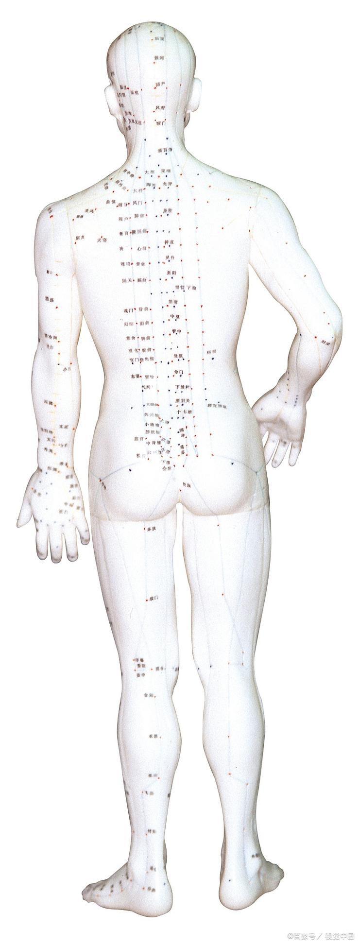 李志刚穴位养生 下载