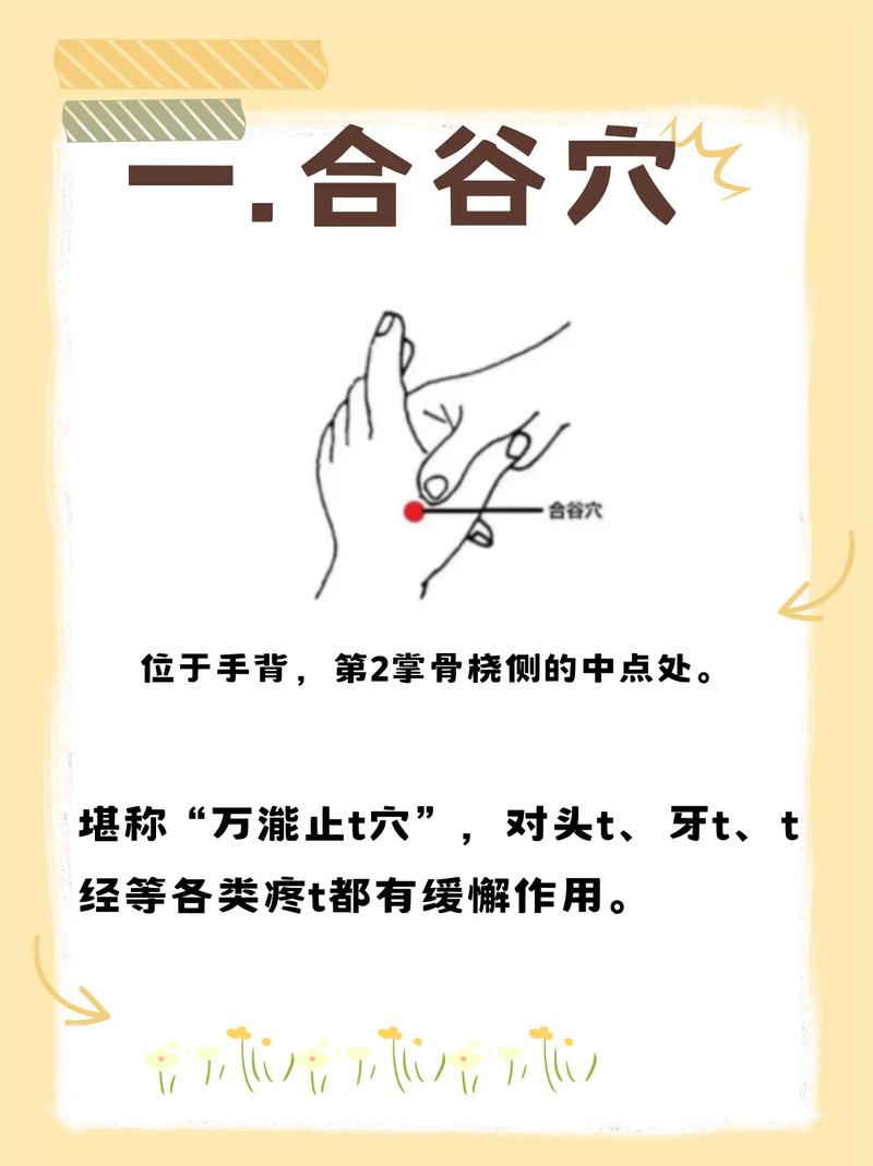 李志刚穴位养生 下载