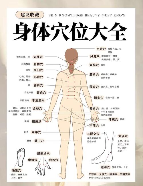 人体穴位高清 pdf