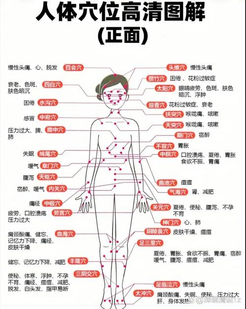 人体穴位高清 pdf