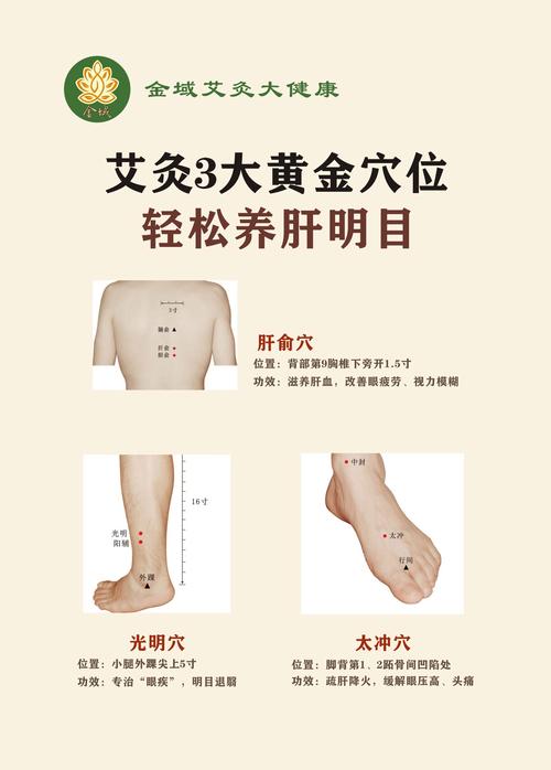 艾灸补肝肾 哪个穴位