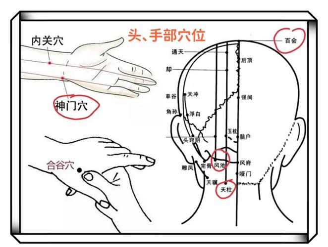 颈椎 头晕 手背穴位