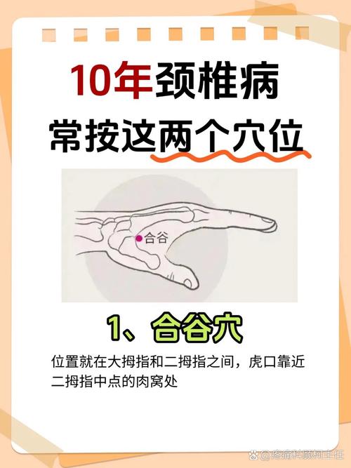 颈椎 头晕 手背穴位