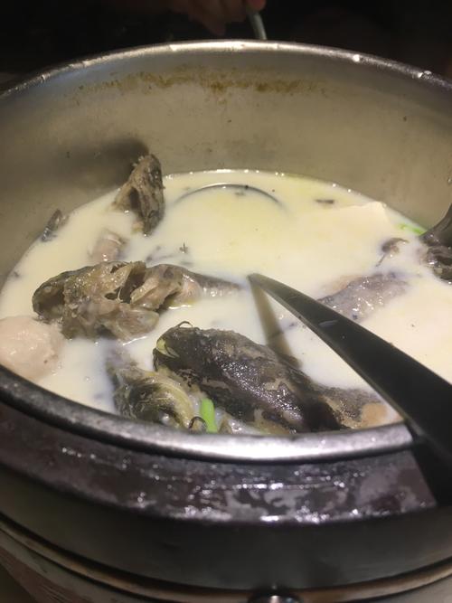 什么鱼汤适合脑梗病人