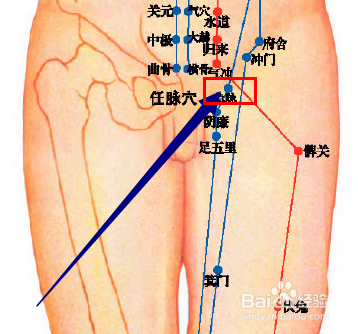 急脉穴位是左右穴位吗