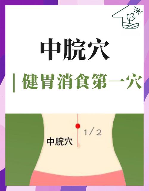 人体穴位图中脘穴位置