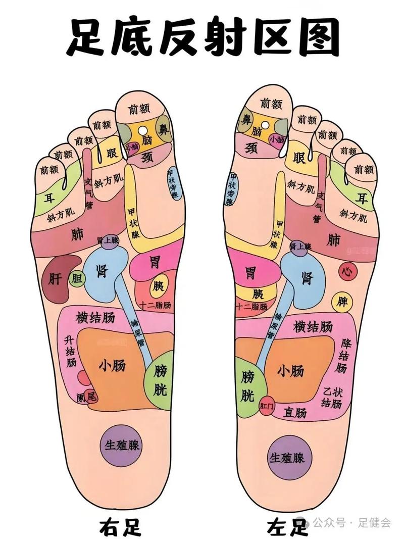 脚趾尖穴位叫什么穴位