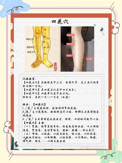 下肢痹痛穴位注射穴位