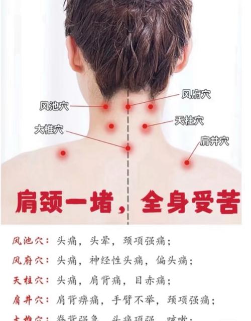 肩颈按摩常用穴位穴位