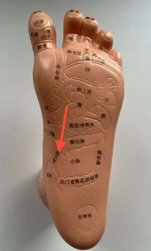 尿血要按摩的穴位穴位