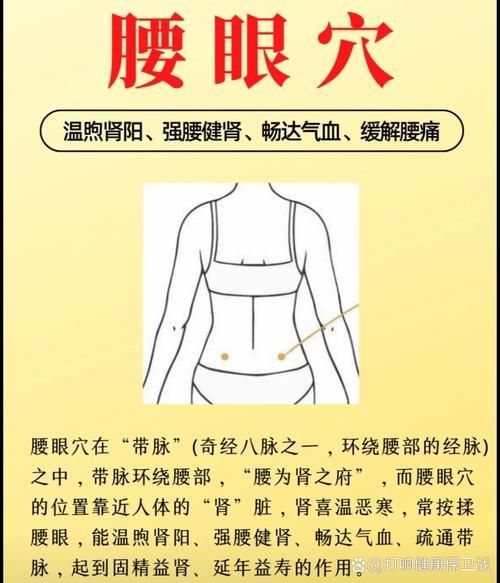 针灸穴位腰痛穴位名称