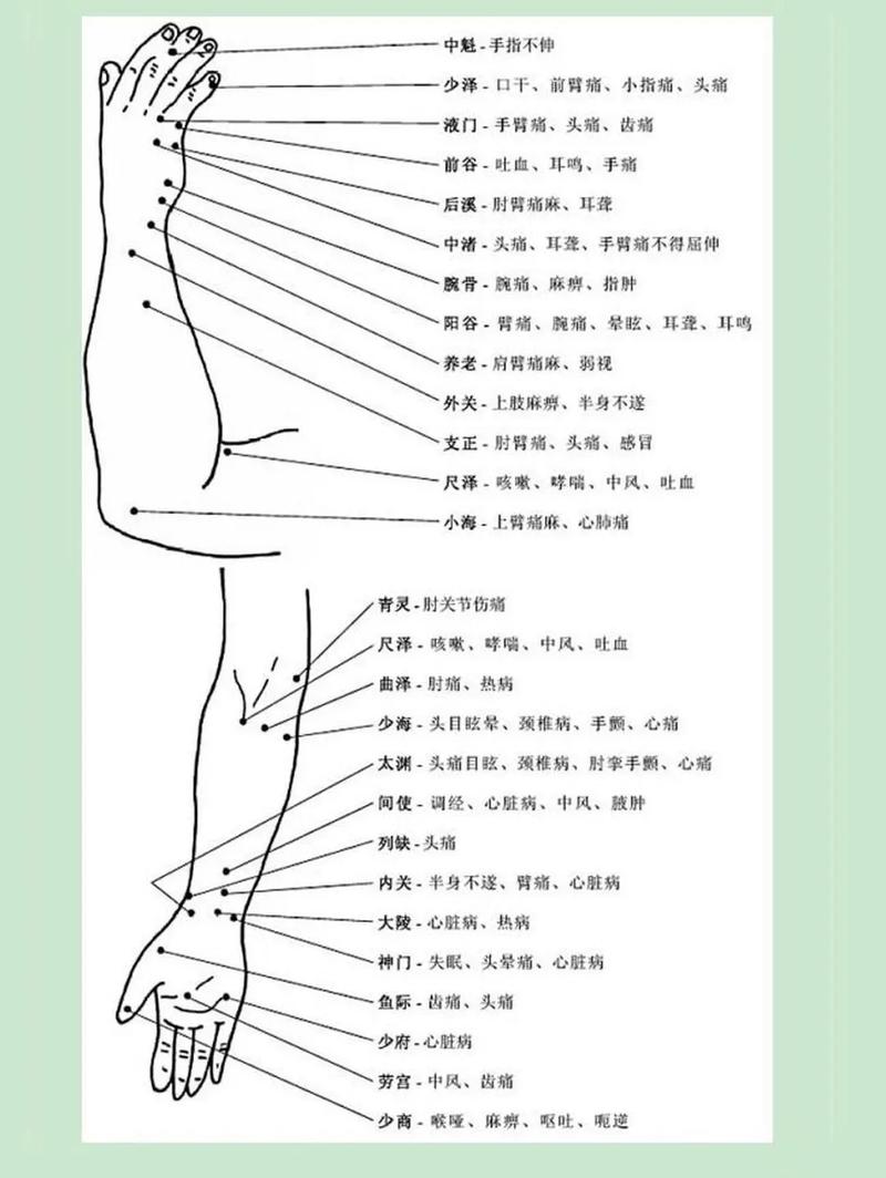 针灸穴位和推拿穴位图