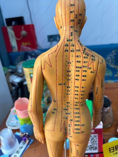 针灸穴位和推拿穴位图