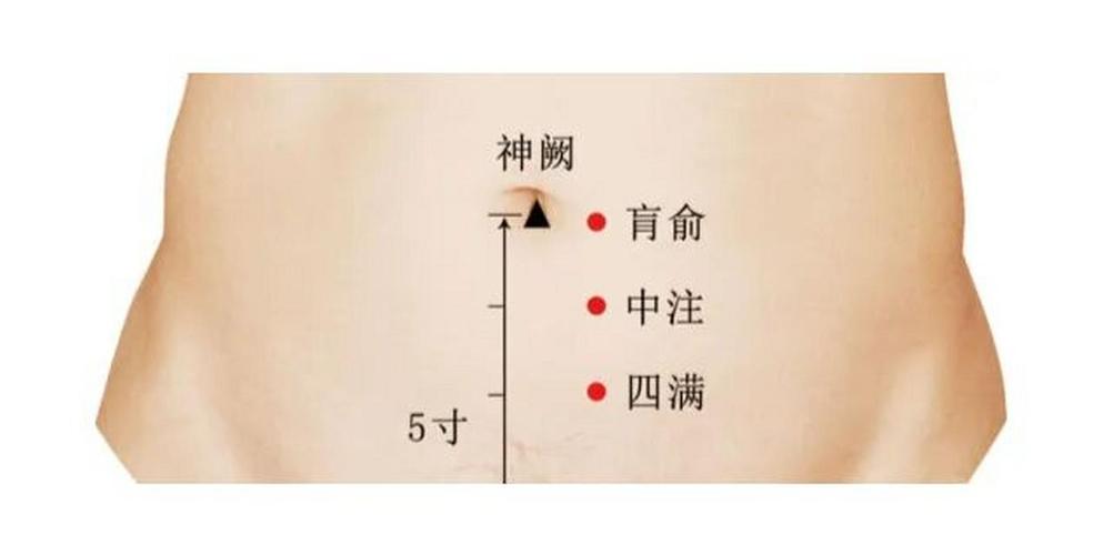 哪个穴位是减肥的穴位