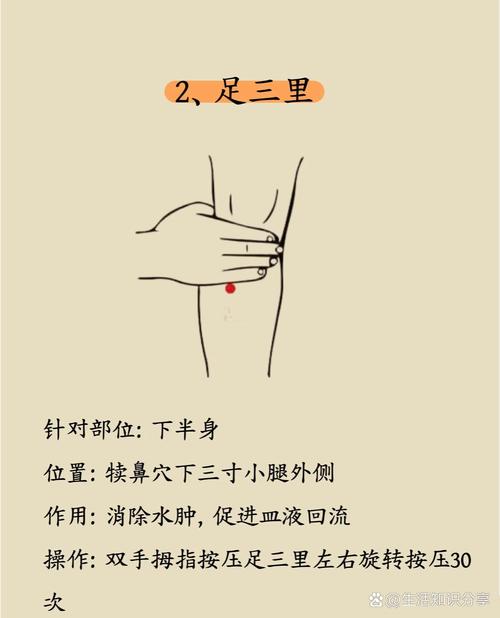 哪个穴位是减肥的穴位