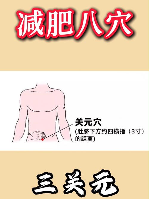 哪个穴位是减肥的穴位