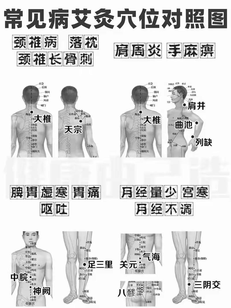 穴位查询穴位大全视频