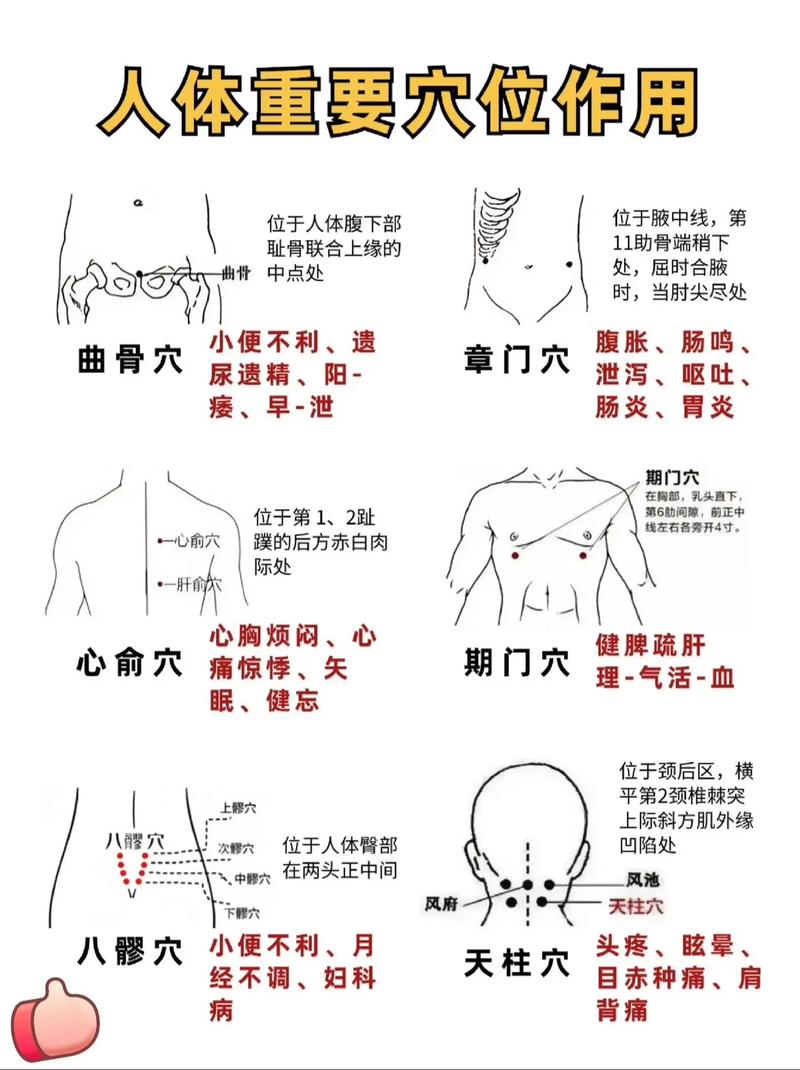 穴位查询穴位大全视频