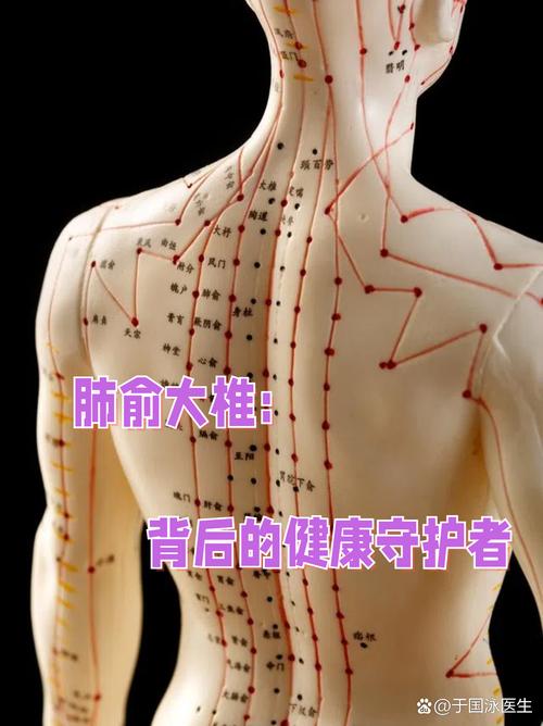 背部穴位穴位简易定位