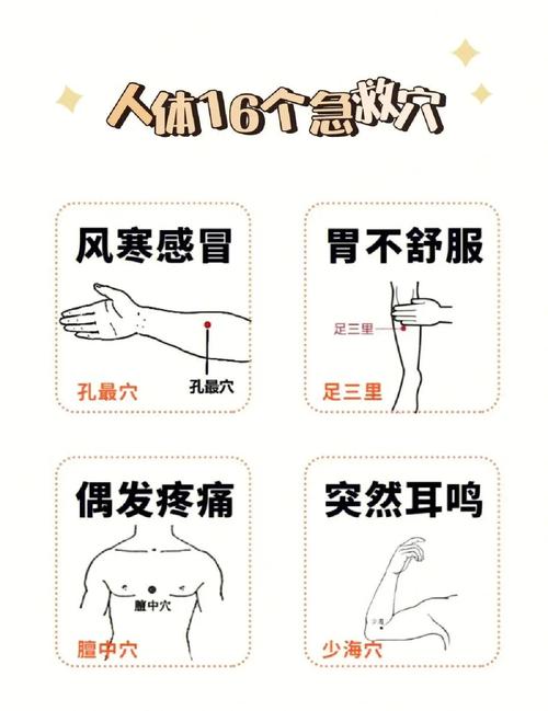 三伏天艾灸的重要穴位