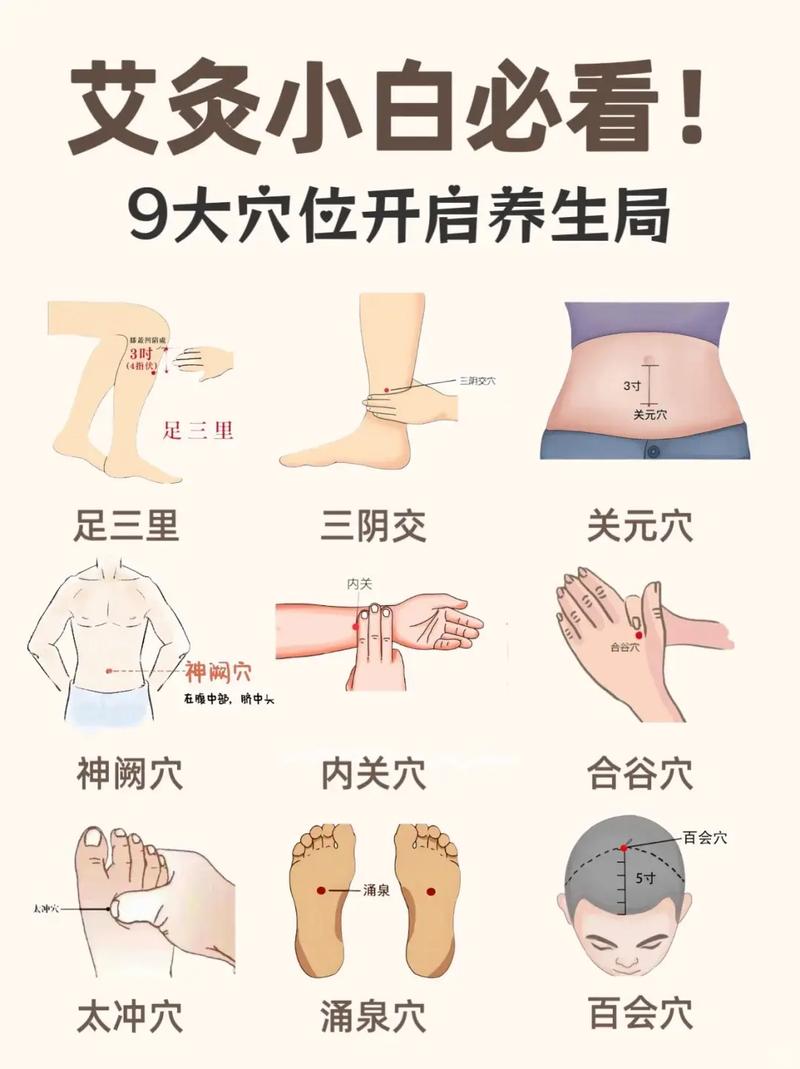 三伏天艾灸的重要穴位