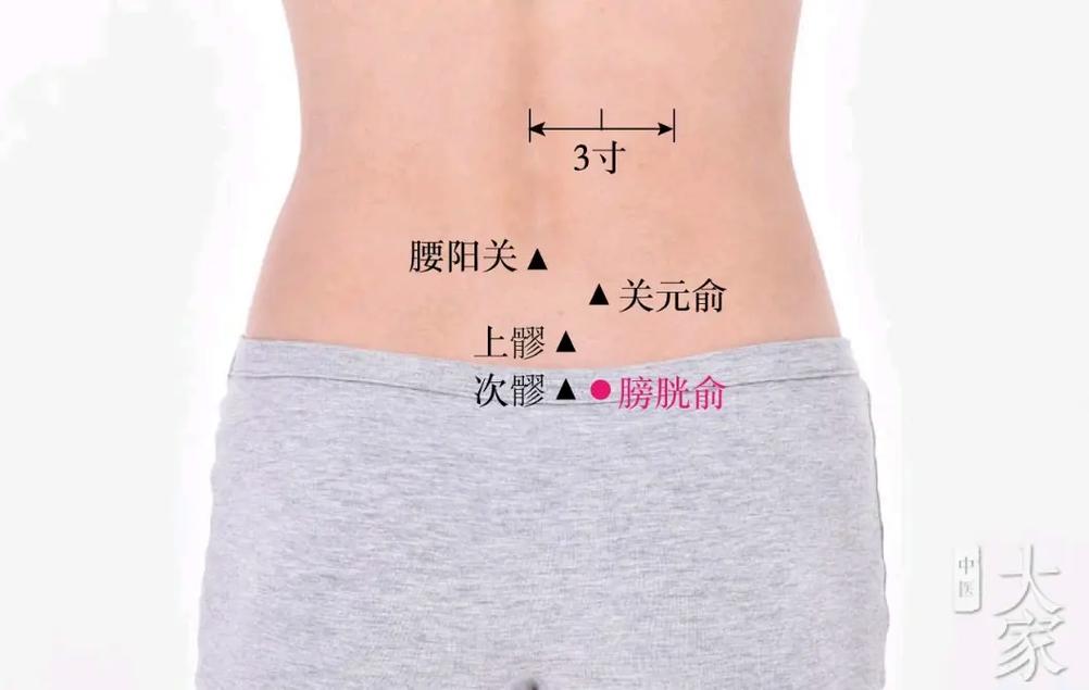 膀胱炎按摩哪个穴位好