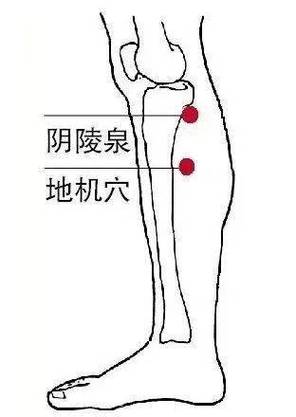 阴道炎经常按摩的穴位