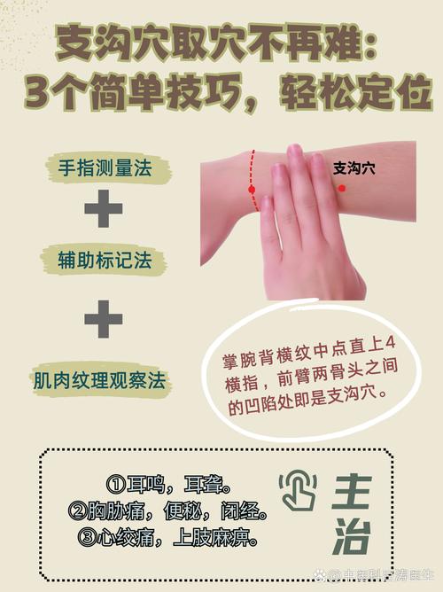 中医常用穴位取穴定位