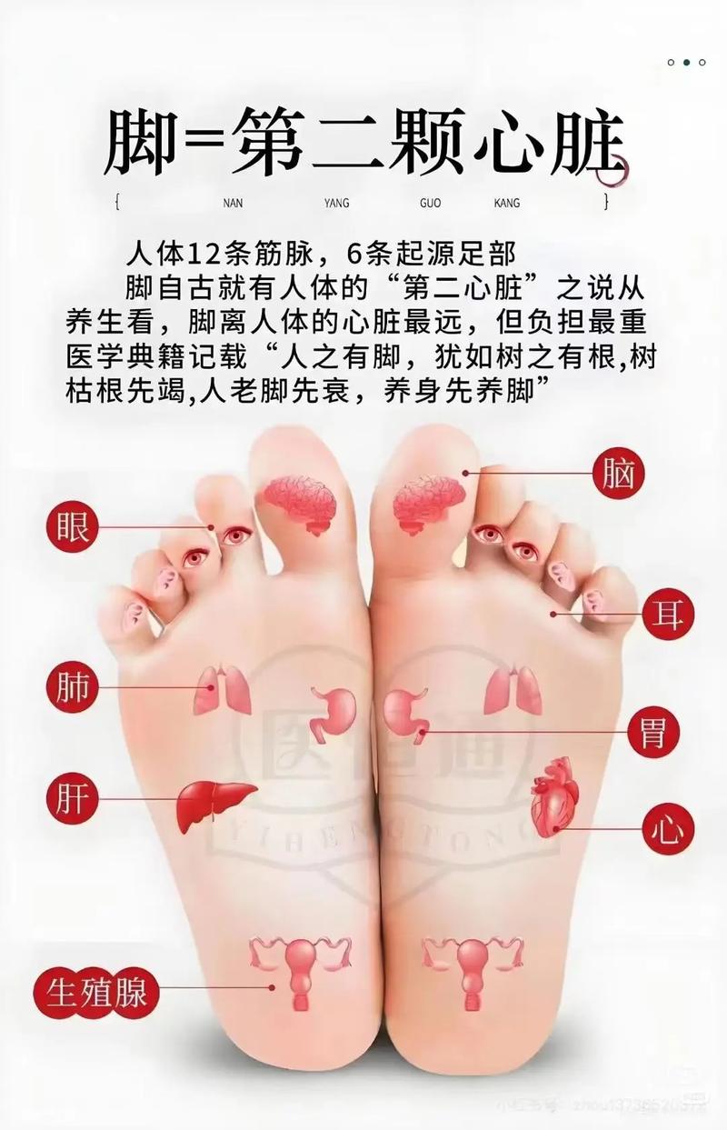 按脚底哪个穴位助睡眠